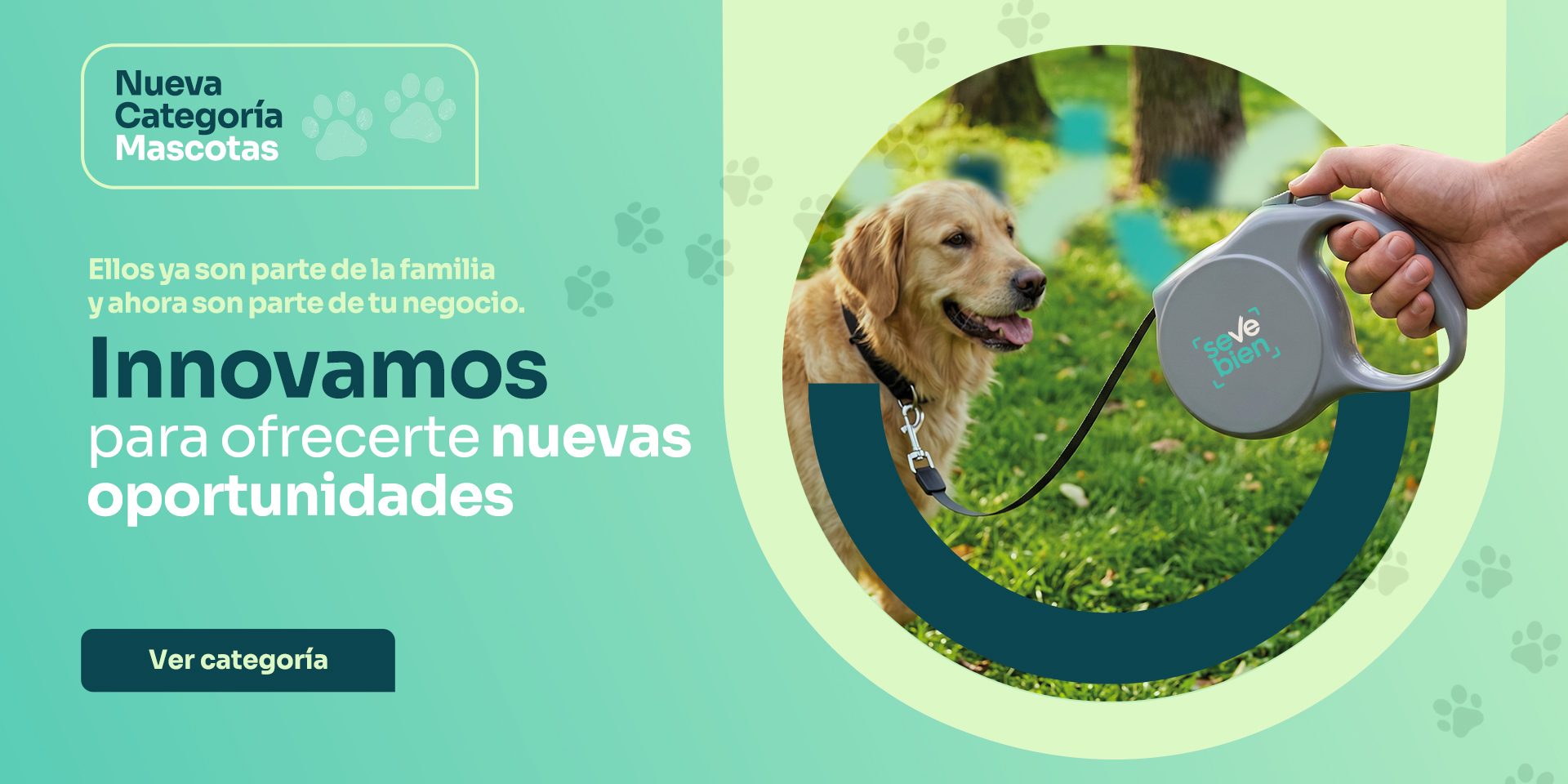 Banner-Vacaciones-de-invierno-digitalregalos.jpg